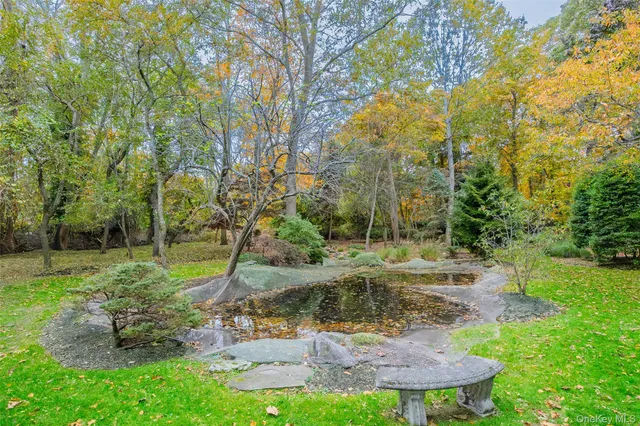 a view of a swimming pool with a yard