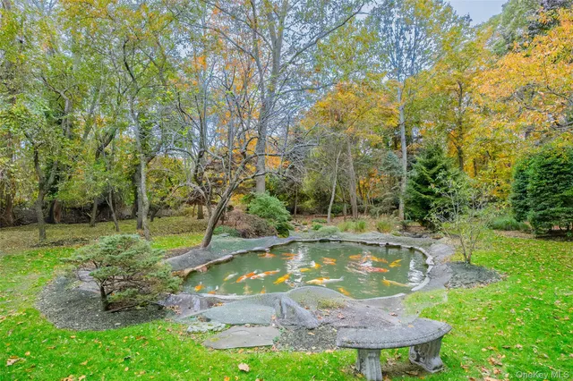 a view of a big yard with a large trees