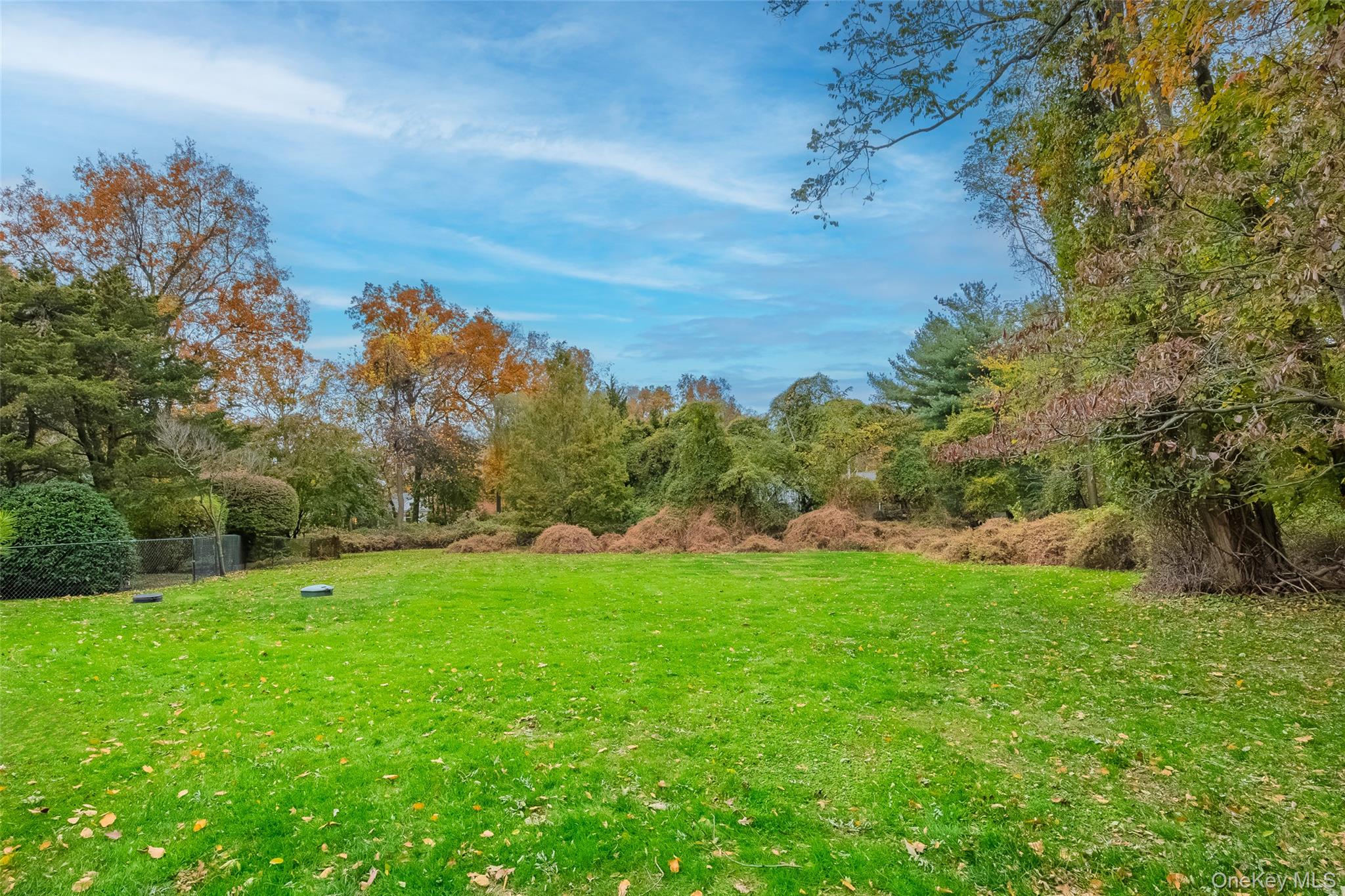 18 Golf Club Road St. James, NY 11780 - Photo 38 of 47 a view of a big yard with a large trees