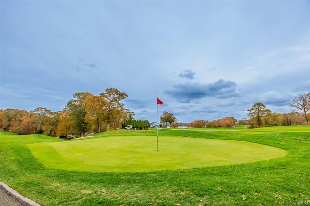 a view of a yard with an trees