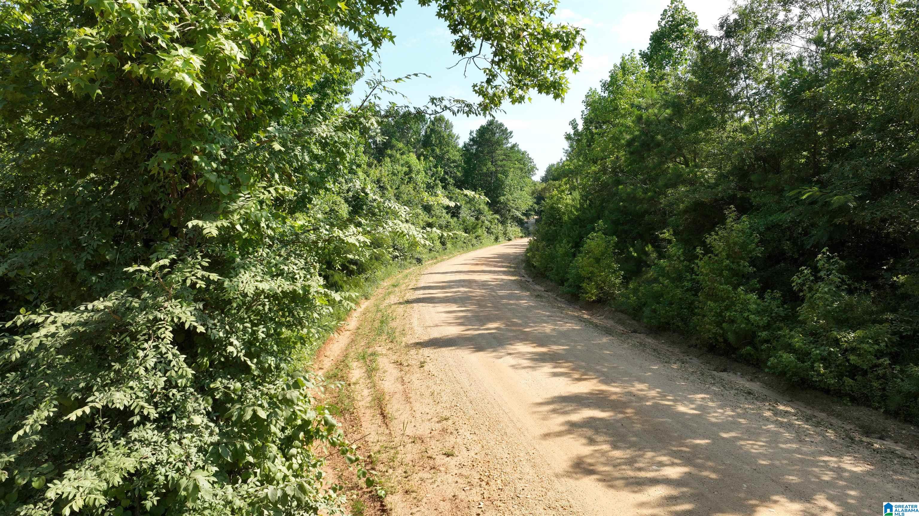2 County Road 253, Unit 2 Clanton, AL 35046 - Photo 10 of 40