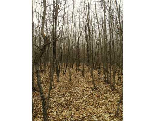 Lot 16 Eleanor Mae Road Deblois, ME 04622 - Photo 8 of 9 Land/Lot. Remnants of old skidder...
