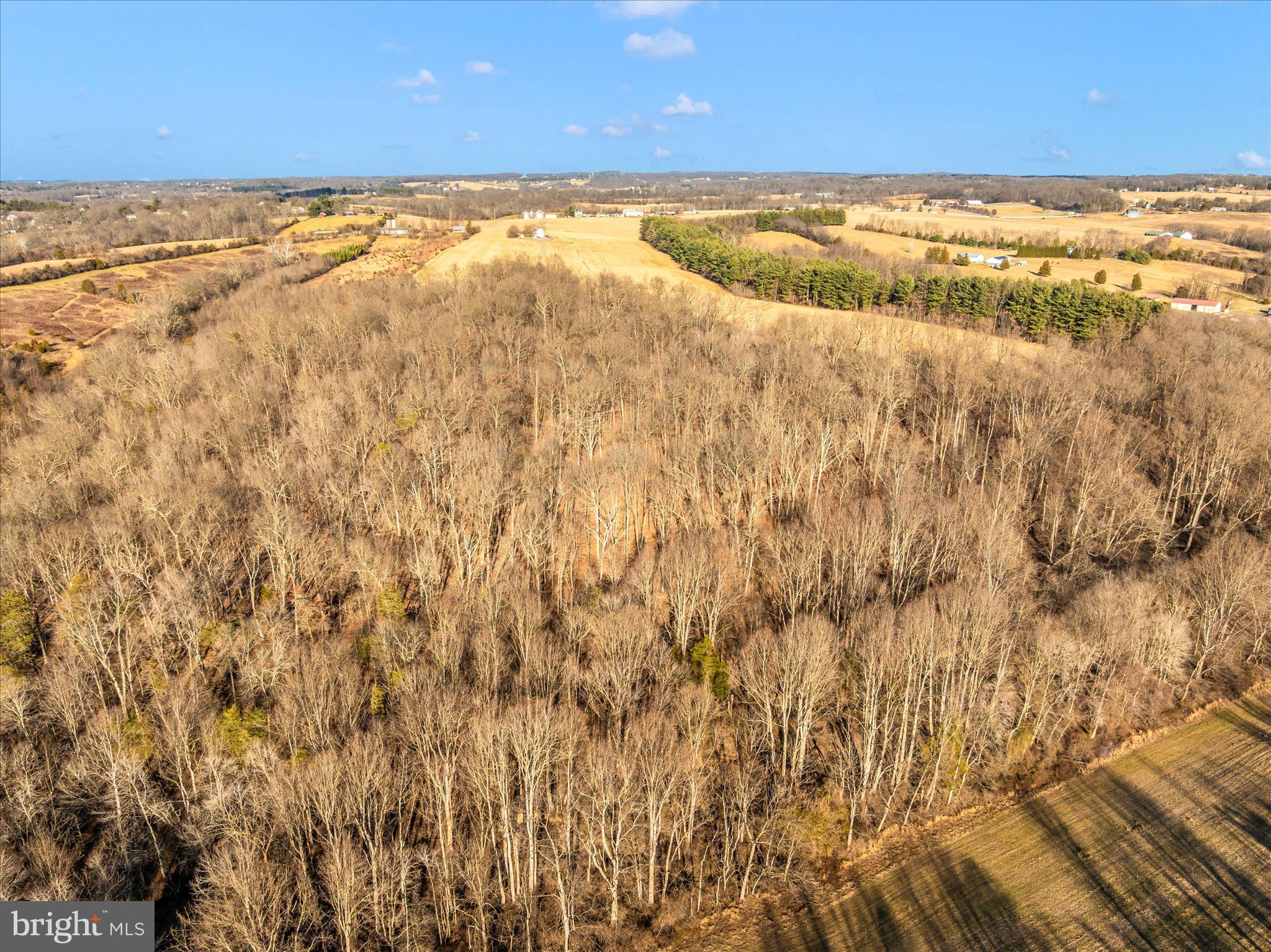 12420 Prices Distillery Road Damascus, MD 20872 - Photo 16 of 31 a view of an ocean beach