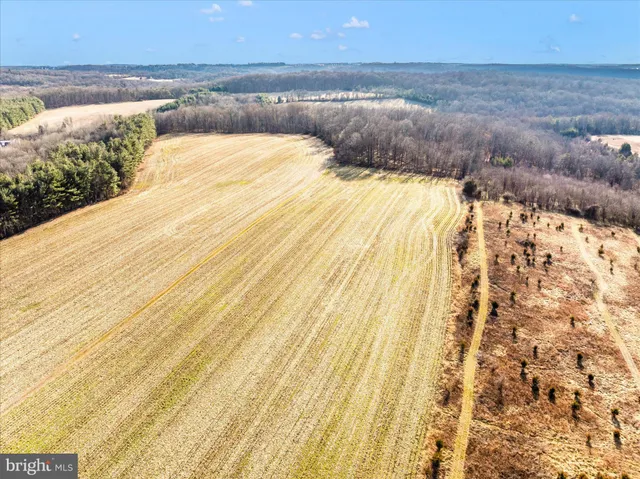 a view of beach and swimming pool