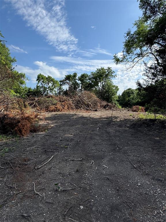 Tbd Burke Road Gunter, TX 75058 - Photo 4 of 6