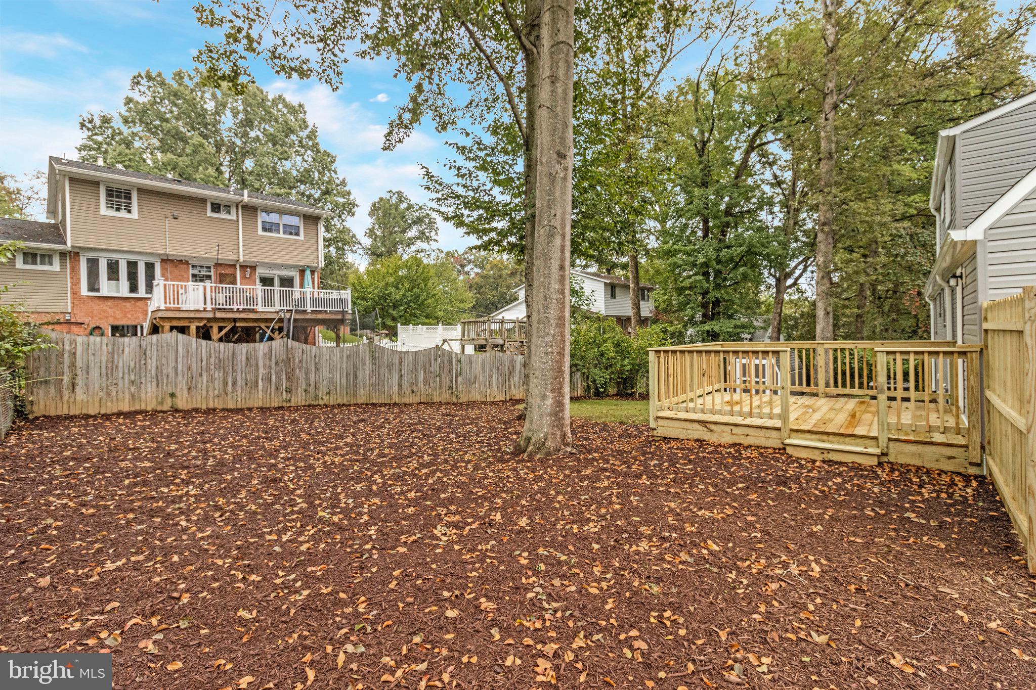 5511 Callander Drive Springfield, VA 22151 - Photo 64 of 74 a view of backyard with wooden fence and a large tree