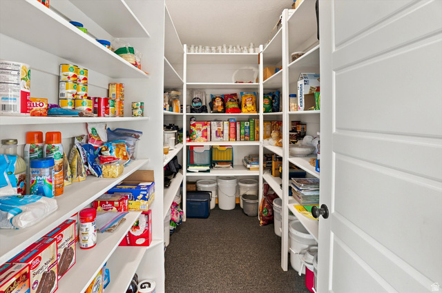 715 Ranch Loop Road Preston, ID 83263 - Photo 21 of 77 Walk-in pantry featuring extensive white shelving, a paneled door, black doorknob, and grey carpet flooring