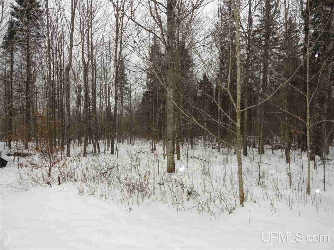 160-acres Off Co Rd 557 Arnold, MI 49819 - Photo 9 of 22
