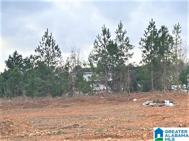 Freedom Way, Unit 79 Weaver, AL 36277 - Photo 1 of 1