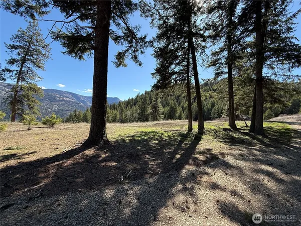 $94,900 | 0 Coogan Creek Road, Wauconda, WA 98859