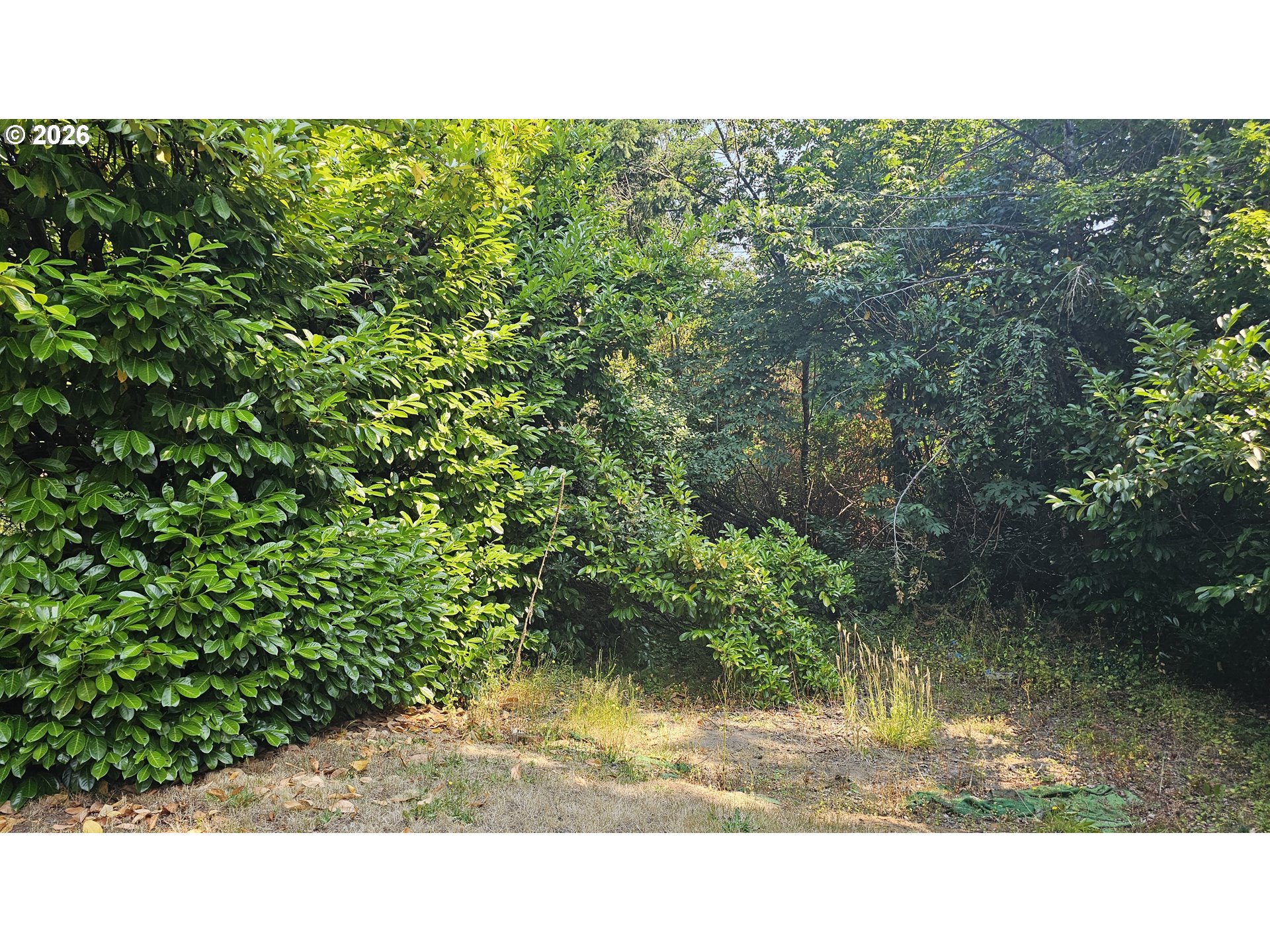 19528 South McCord Road Oregon City, OR 97045 - Photo 11 of 13 Gallery Image 11