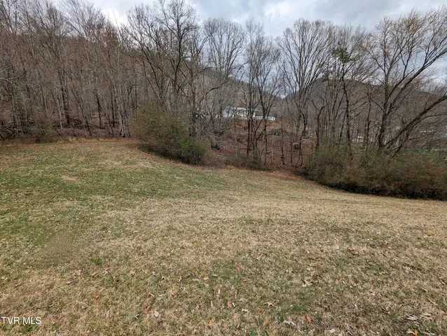 $39,900 | Tbd Dogwood Street, Weber City, VA 24290