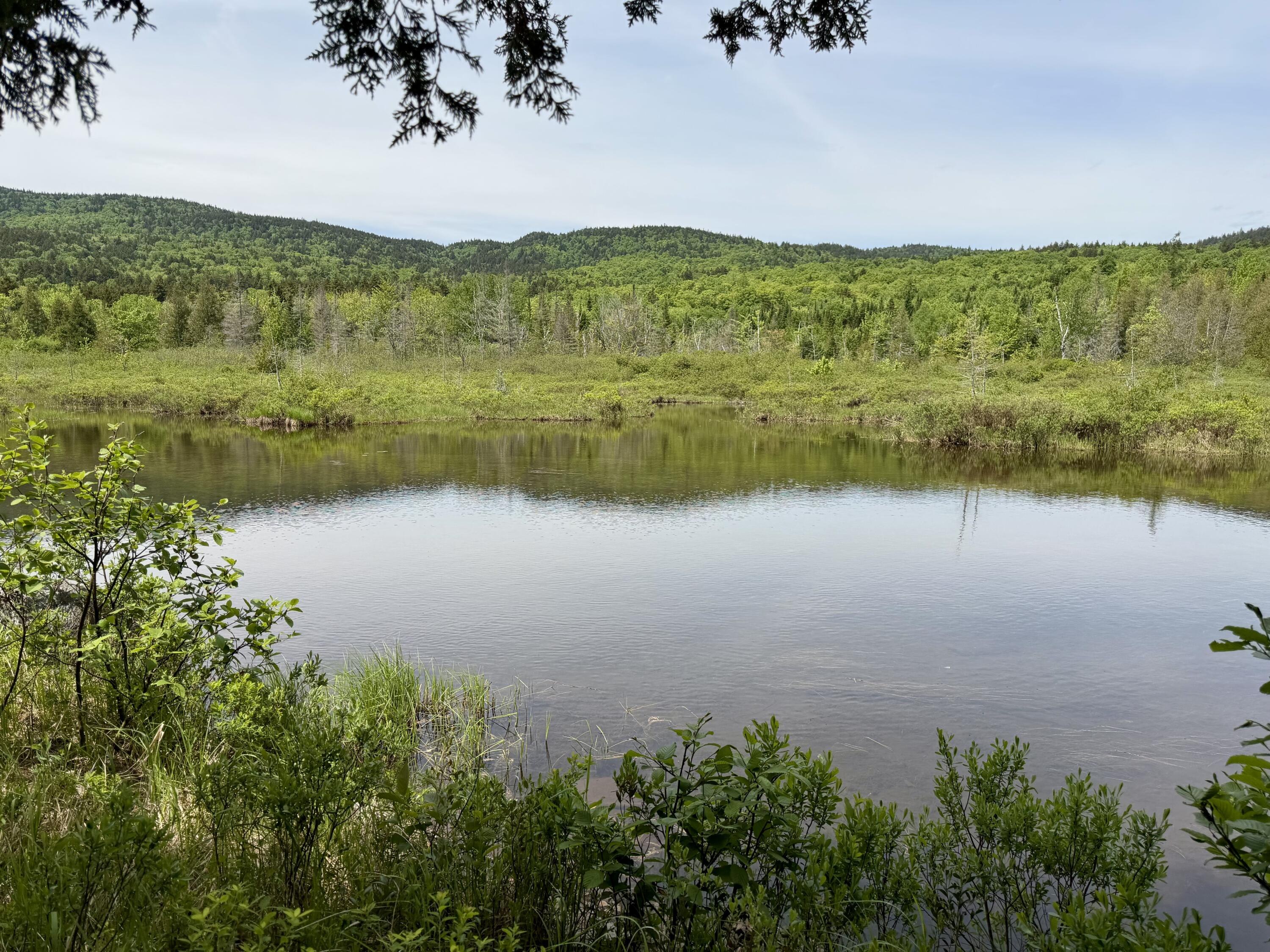 34 Bypass Road Sandy River Plt, ME 04970 - Photo 3 of 36 lake