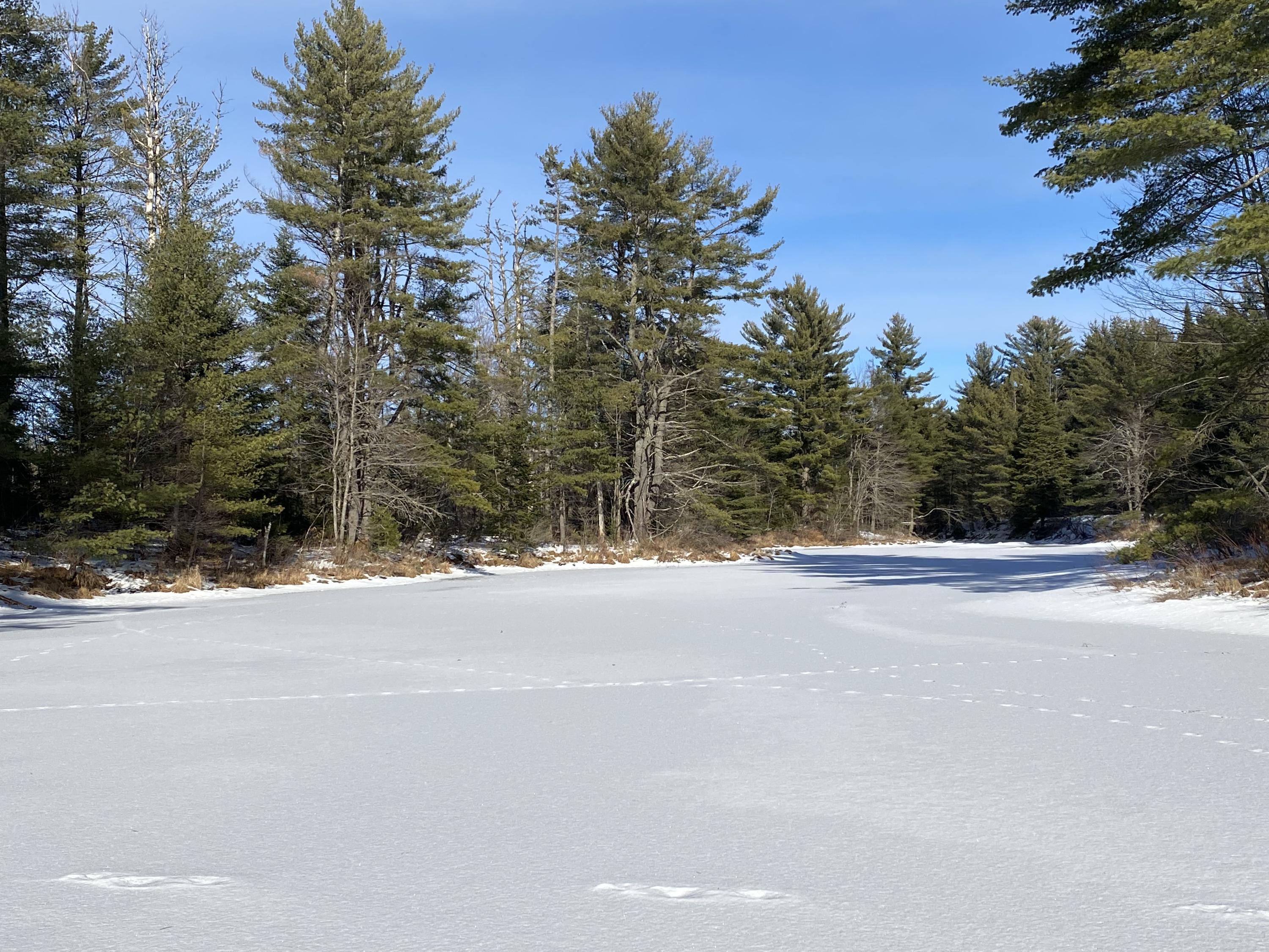 20 Howland Road Lagrange, ME 04453 - Photo 7 of 10 IMG_3104