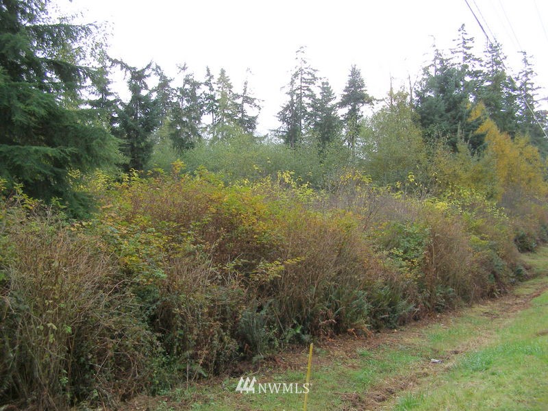 0 North Reservation Road Oak Harbor, WA 98277 - Photo 3 of 4 Gallery Image 3