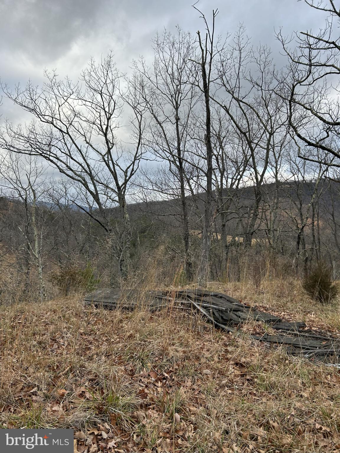 365 Co Rte 10/2 Franklin, WV 26807 - Photo 4 of 8 Serene winter landscape with bare trees.