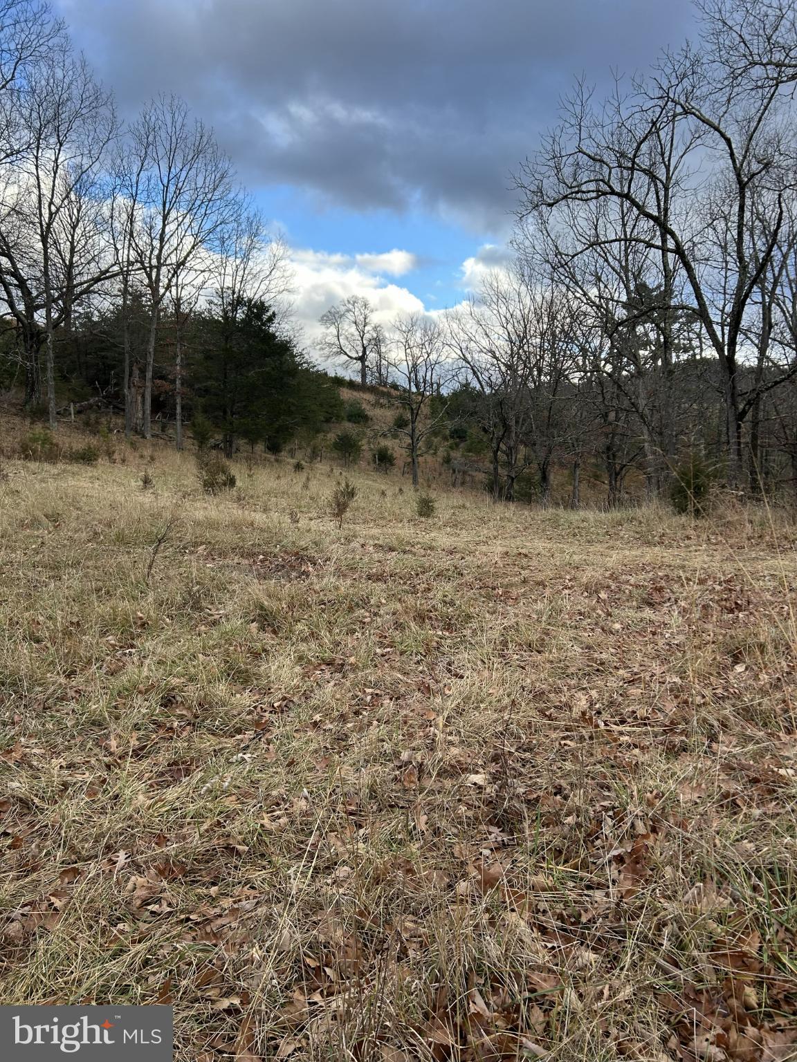 365 Co Rte 10/2 Franklin, WV 26807 - Photo 5 of 8 Serene landscape under a cloudy sky.