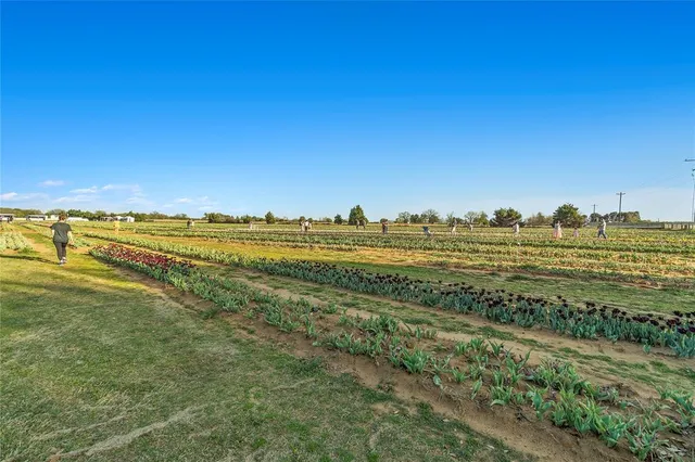 $299,990 | 14112 Zealand Drive, Pilot Point, TX 76258