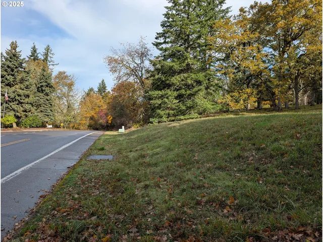 a view of a field with large trees