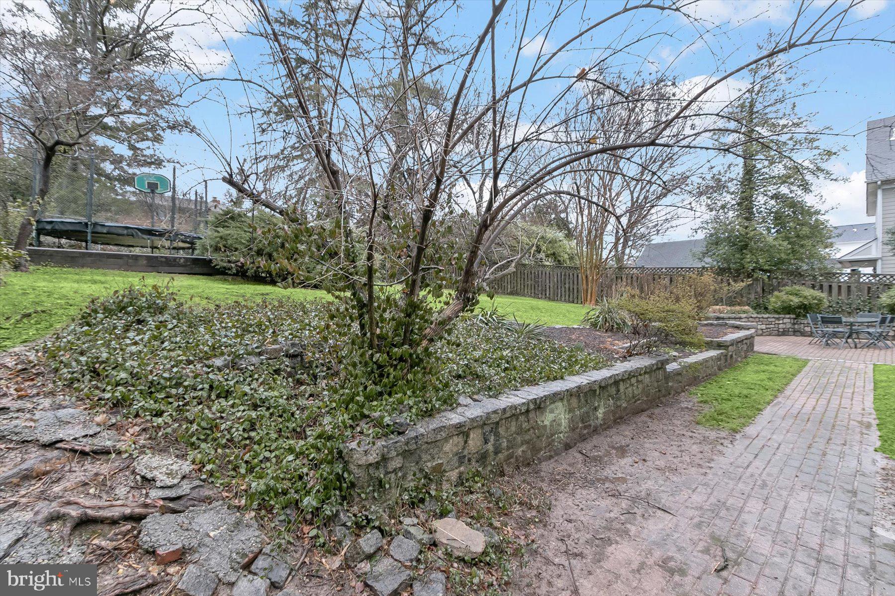 6011 Walhonding Road Bethesda, MD 20816 - Photo 49 of 51 Backyard