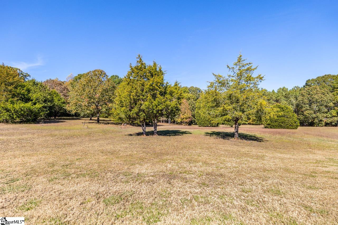 1449 Cooley Road Gray Court, SC 29645 - Photo 25 of 33