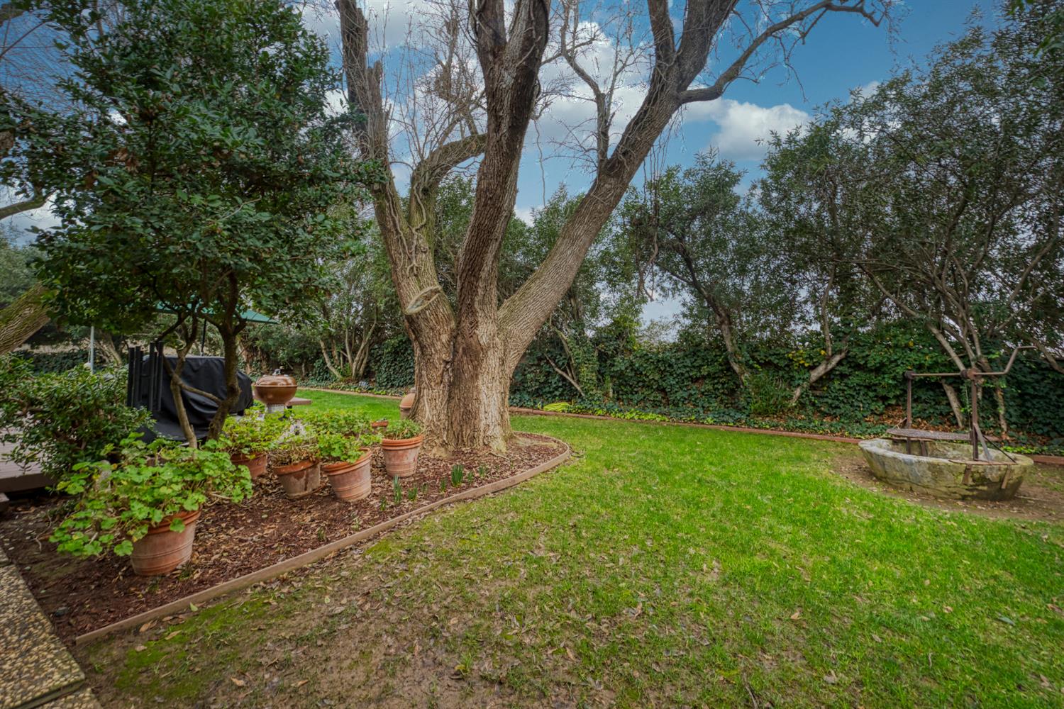 419 Burkhard Road Vernalis, CA 95385 - Photo 48 of 65