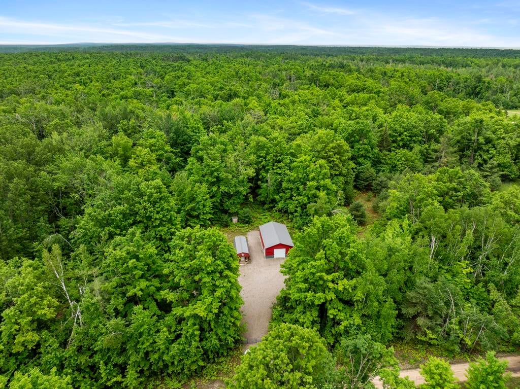9782 Walters Road Onaway, MI 49765 - Photo 4 of 34
