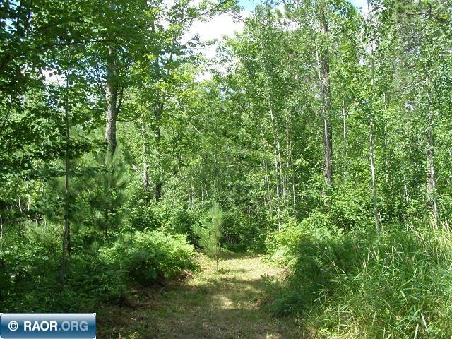 5631 Birch Bark Landing Biwabik, MN 55705 - Photo 11 of 16