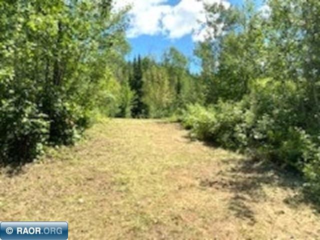 5631 Birch Bark Landing Biwabik, MN 55705 - Photo 7 of 16