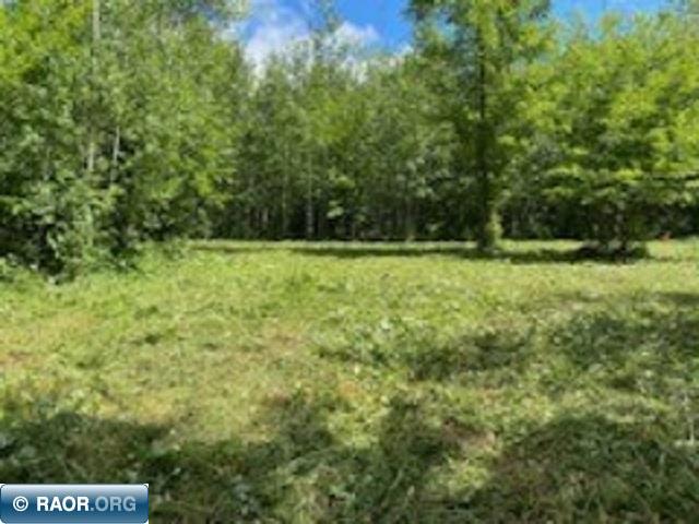 5631 Birch Bark Landing Biwabik, MN 55705 - Photo 8 of 16