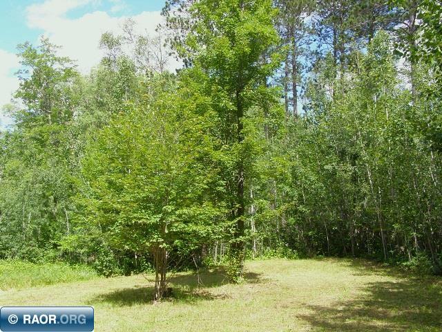 5631 Birch Bark Landing Biwabik, MN 55705 - Photo 9 of 16