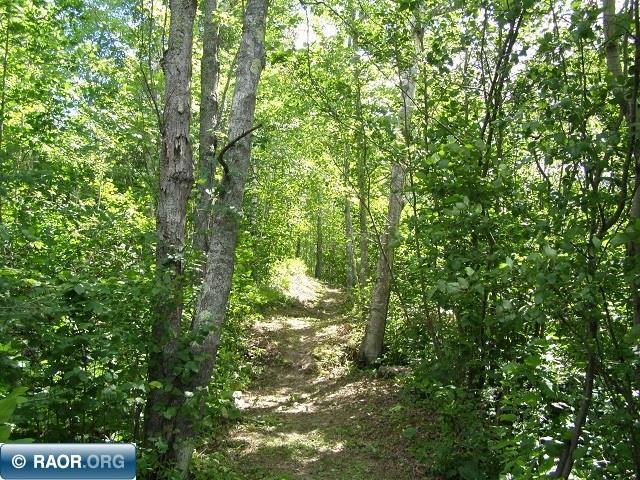 5631 Birch Bark Landing Biwabik, MN 55705 - Photo 10 of 16