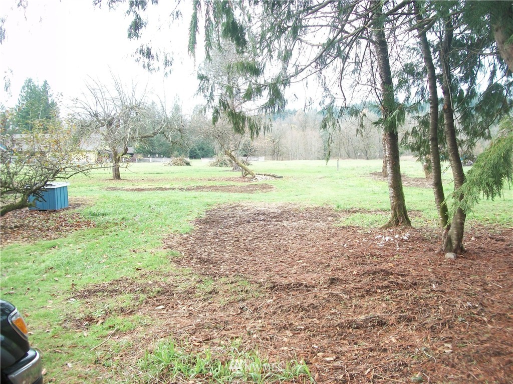 243 Tryon Road Onalaska, WA 98570 - Photo 17 of 21 Gallery Image 17