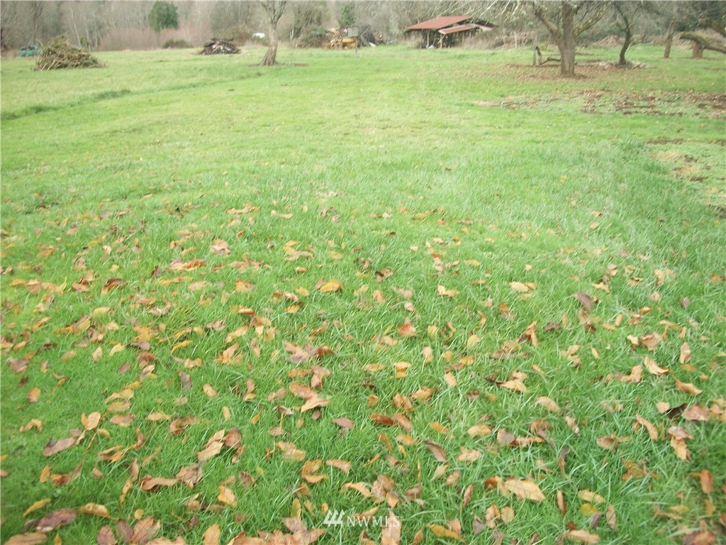 243 Tryon Road Onalaska, WA 98570 - Photo 21 of 21 Gallery Image 21