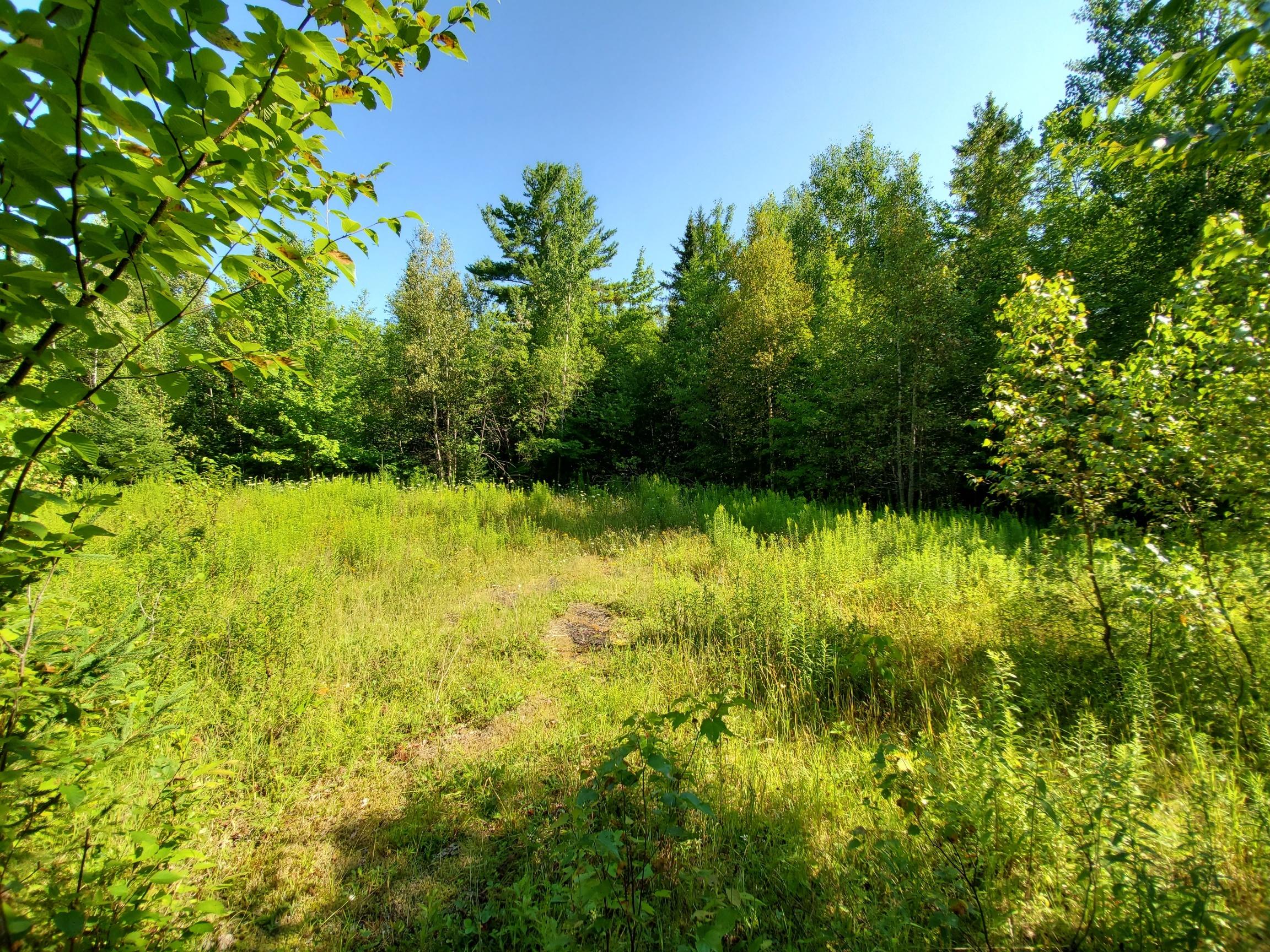 0 North Road Springfield, ME 04487 - Photo 6 of 26 clearing