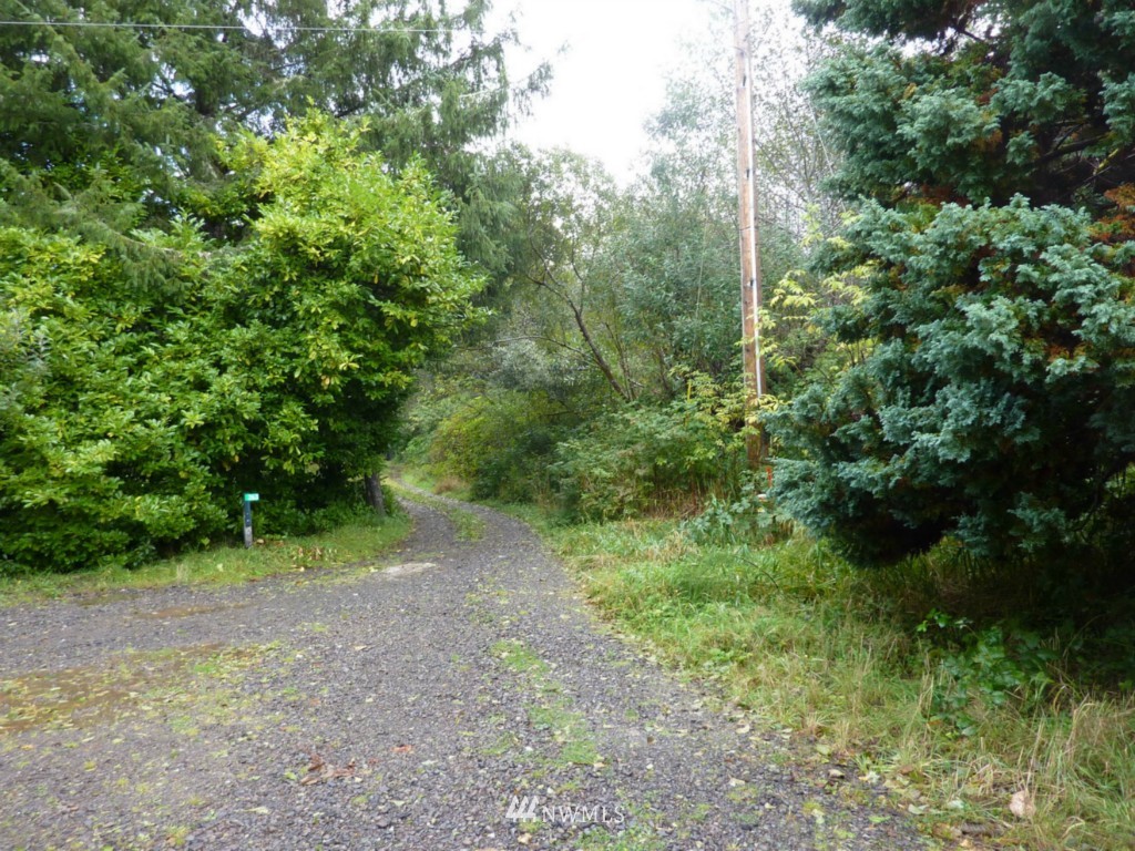 9999 Old La Push Road Forks, WA 98331 - Photo 2 of 5 Gallery Image 2