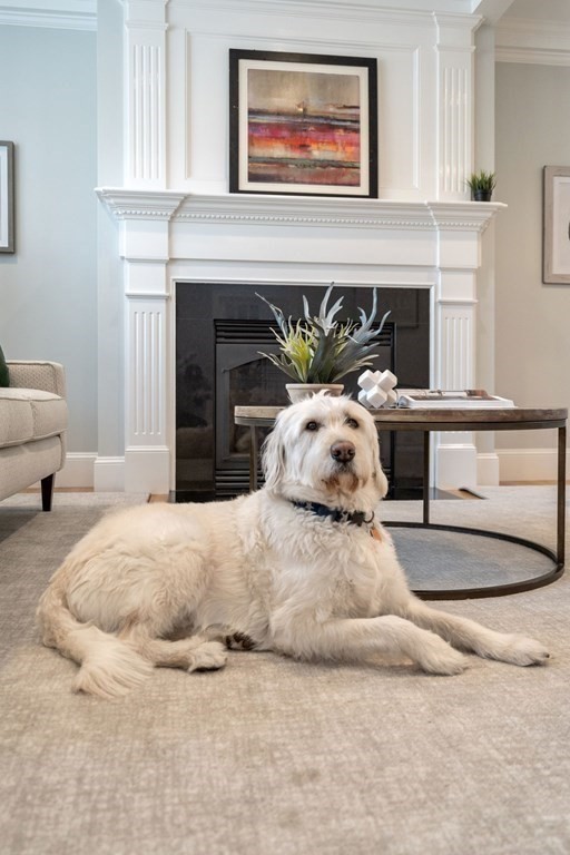 51 Baker Place Newton, MA 02462 - Photo 7 of 38 a bedroom with a bed and a fireplace
