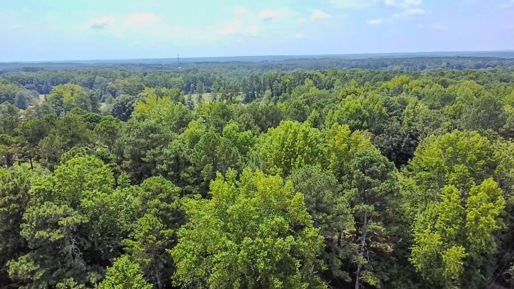 1112 Harbins Road Dacula, GA 30019 - Photo 13 of 14