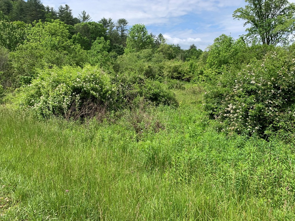 17.76-ac Greasy Creek Road Murphy, NC 28906 - Photo 15 of 17