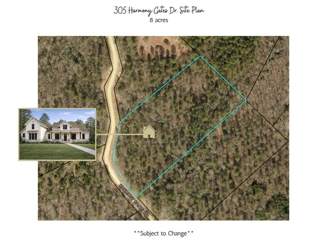 a picture of a person on a park