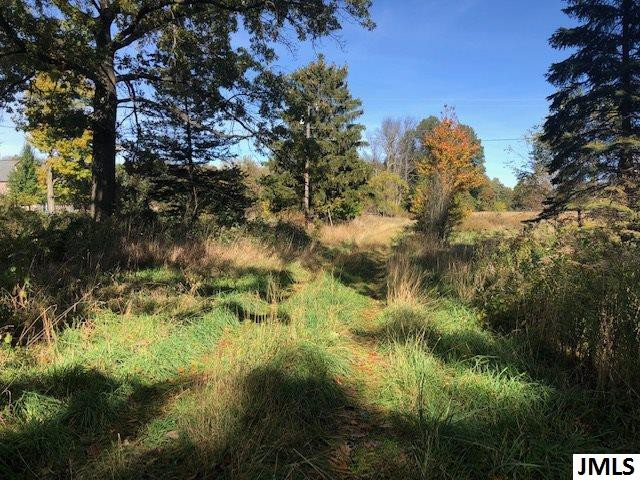 0 Miner Road Parma, MI 49269 - Photo 2 of 4 Photo 2