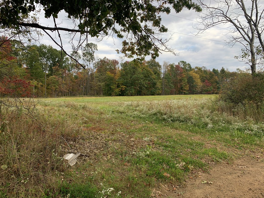0 Cherrytree Plum Line Road Titusville, PA 16354 - Photo 6 of 12