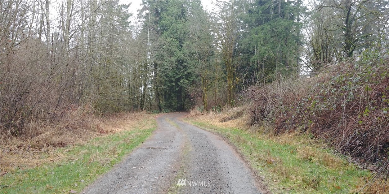 5443 133rd Avenue Southwest Rochester, WA 98579 - Photo 1 of 6 a view of a pathway with a yard