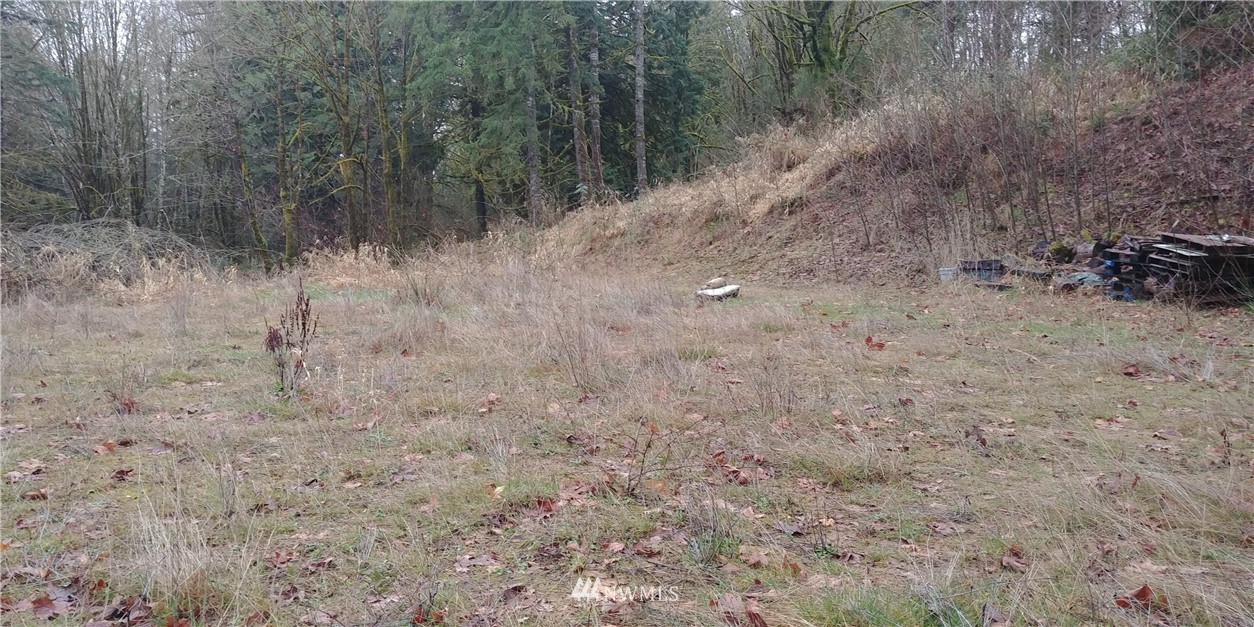 5443 133rd Avenue Southwest Rochester, WA 98579 - Photo 2 of 6 a view of a dry field with trees in the background
