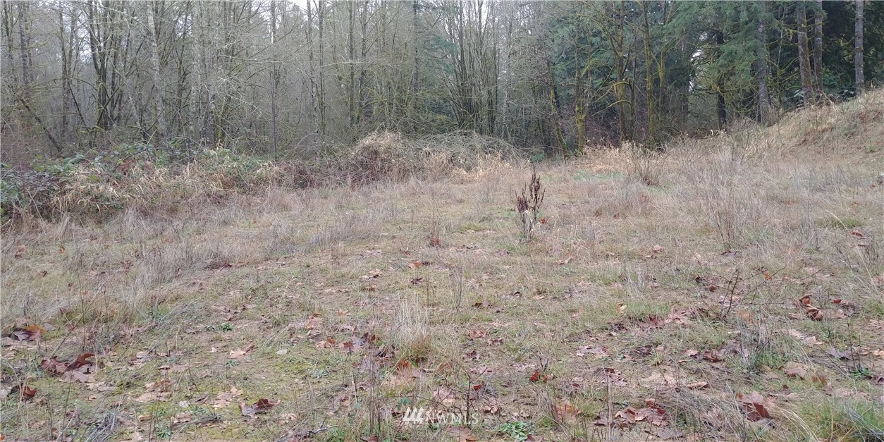 5443 133rd Avenue Southwest Rochester, WA 98579 - Photo 3 of 6 a view of a dry yard with trees in the background