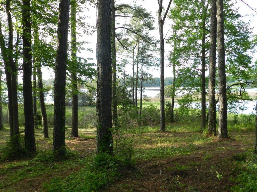Lot1 Miles Wharf Road, Unit 1 Exmore, VA 23350 - Photo 29 of 33