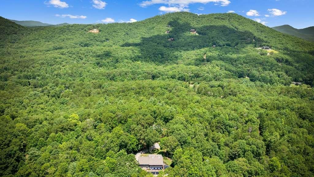 178 Arp Road Mineral Bluff, GA 30559 - Photo 42 of 57