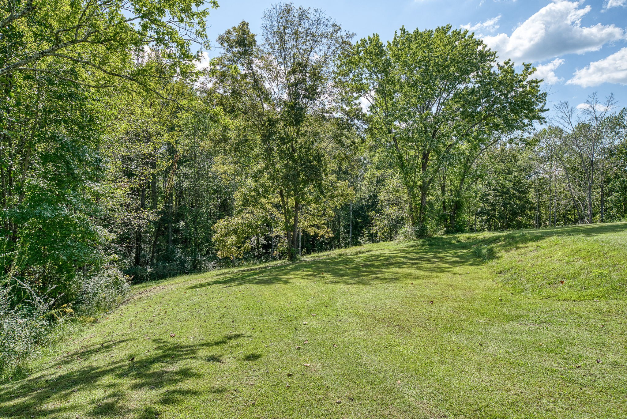 7331 Ashburn Road Baxter, TN 38544 - Photo 22 of 62 a view of a field with trees in the background