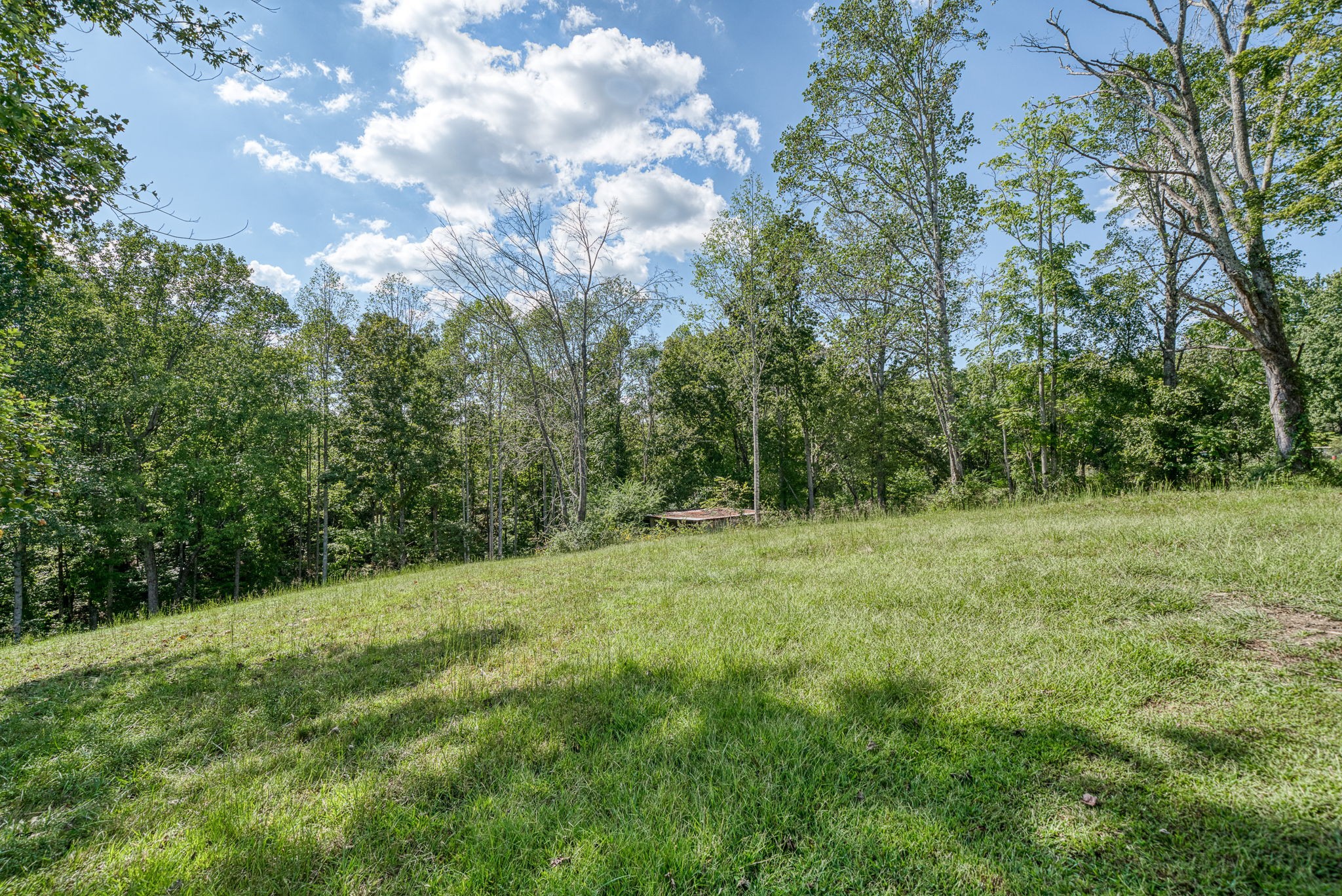 7331 Ashburn Road Baxter, TN 38544 - Photo 23 of 62 a view of outdoor space and yard