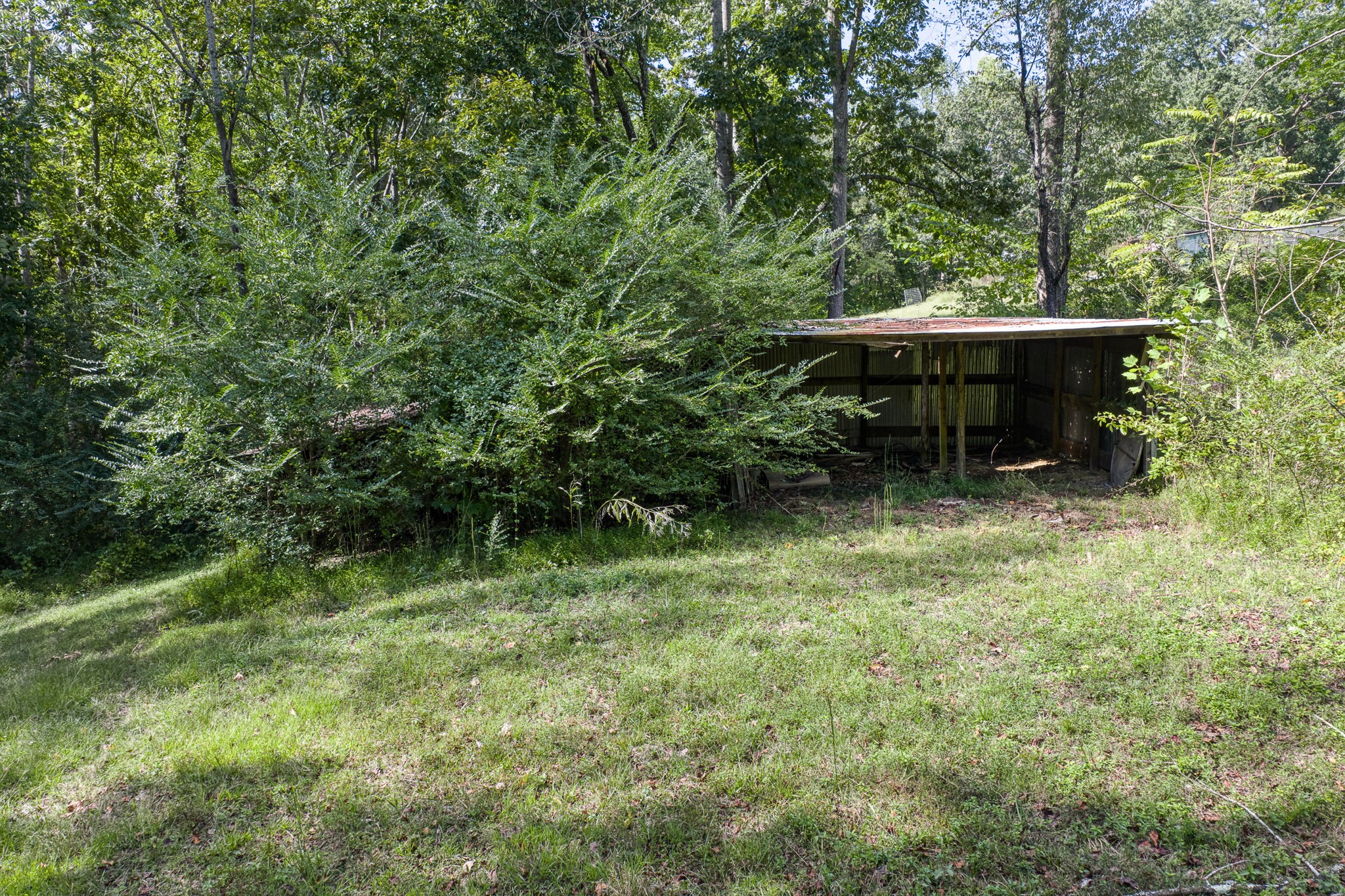 7331 Ashburn Road Baxter, TN 38544 - Photo 24 of 62 a view of a small yard